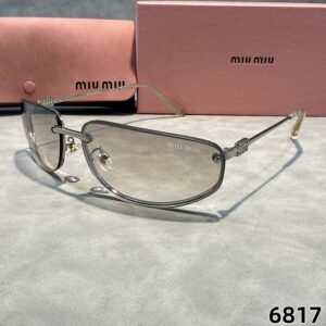 sunglasses 6817
