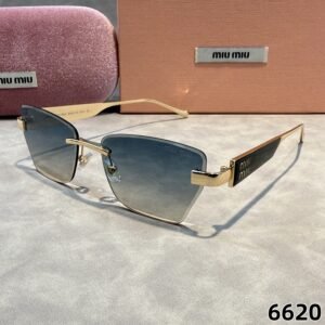 sunglasses 6620